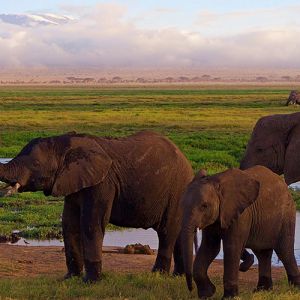 Africa Hotels