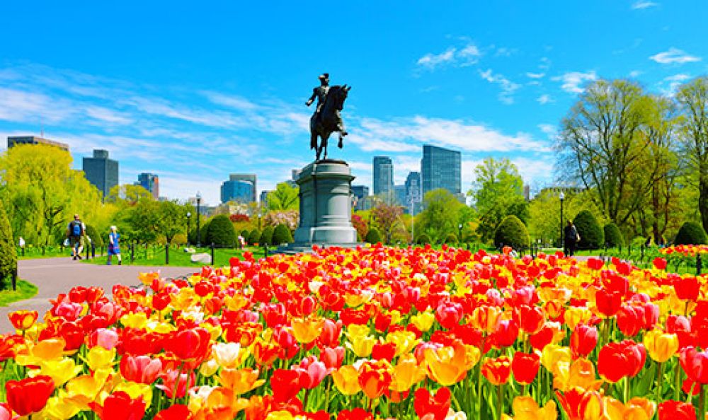 Boston Flights