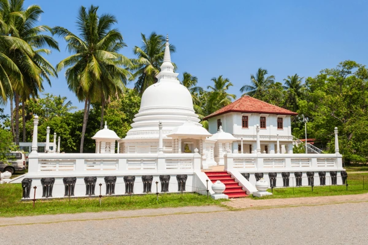 Sri Lanka Wildlife