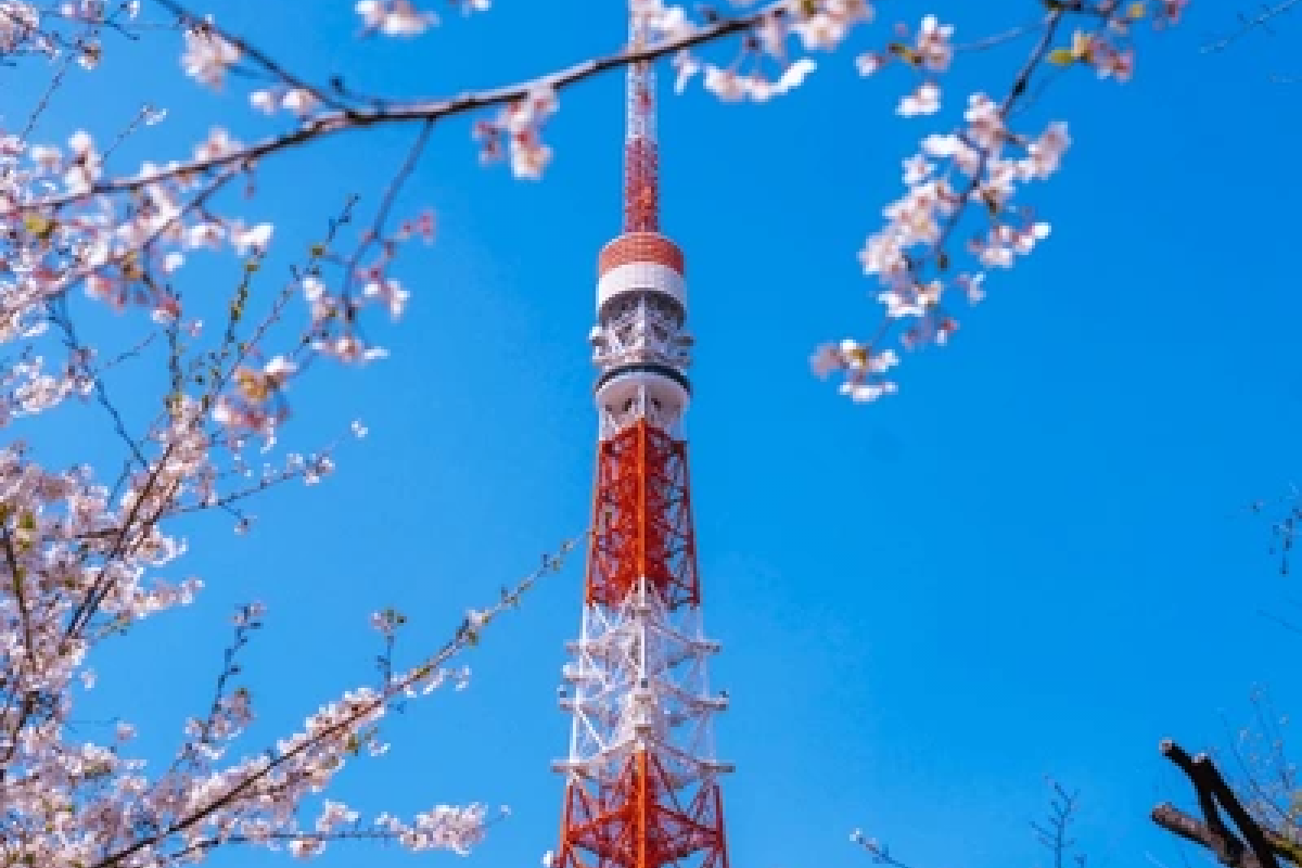 tokyo holidays