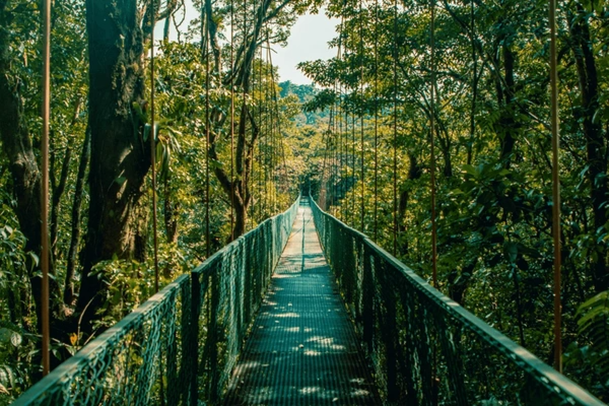 Costa Rica Holidays