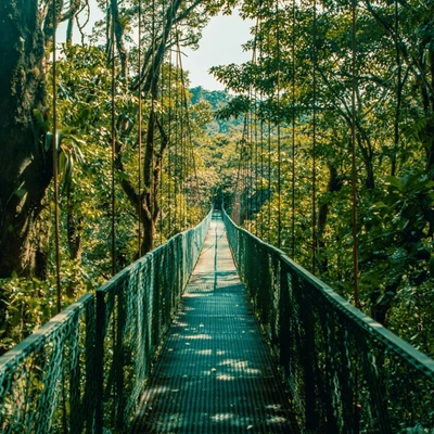 Costa Rica Holidays