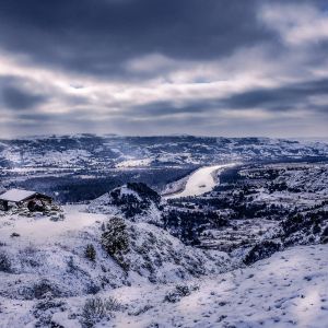 Fargo Flight Deal