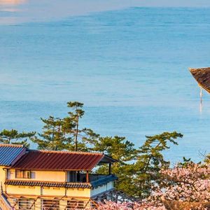Japan Flight Tickets