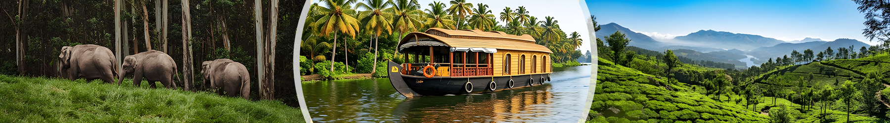 Kerala: A Journey Through Nature & Luxury – 10 Nights