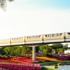 Holidays To Orlando