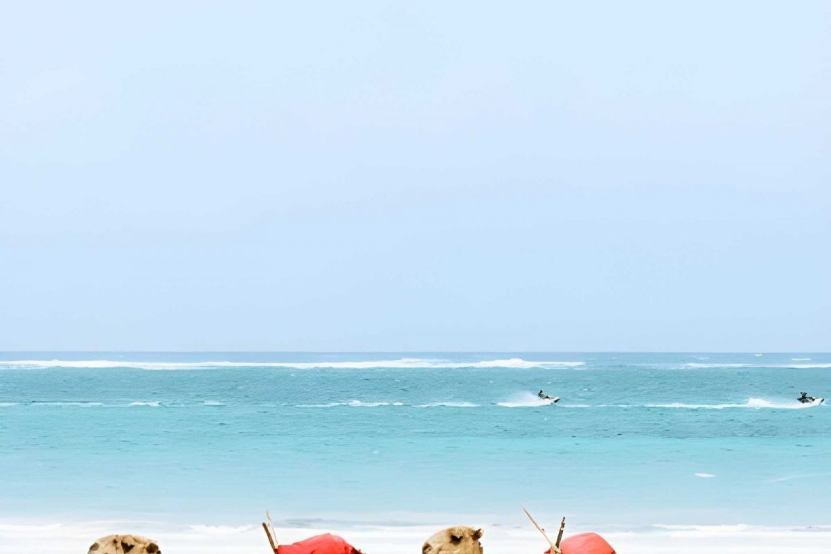 Kenya Holidays