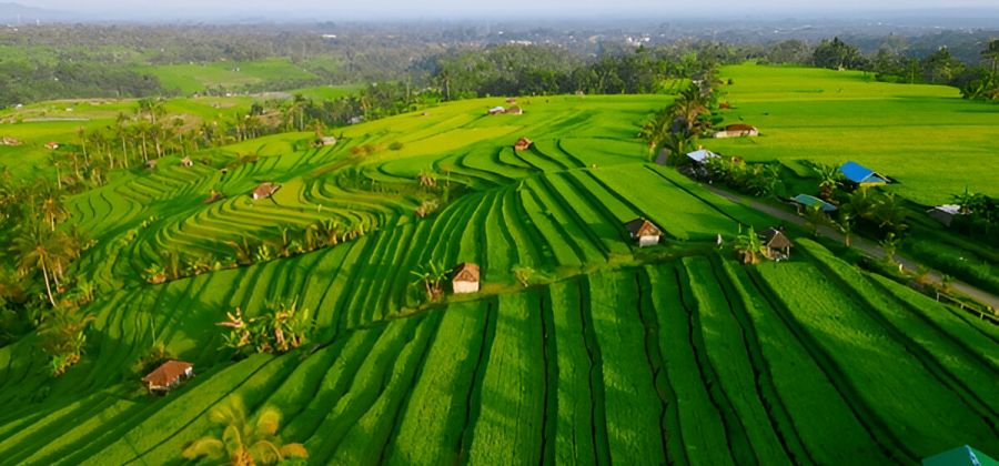 Asia Unlocked: 11 Nights in Malaysia, Singapore & Bali
