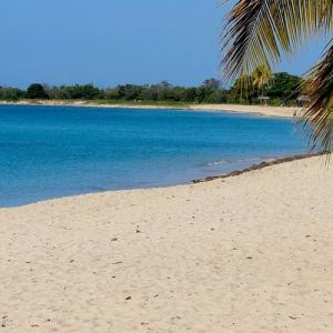 Flights to Trinidad