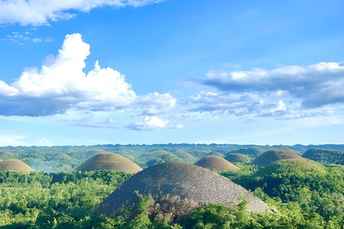 Bohol