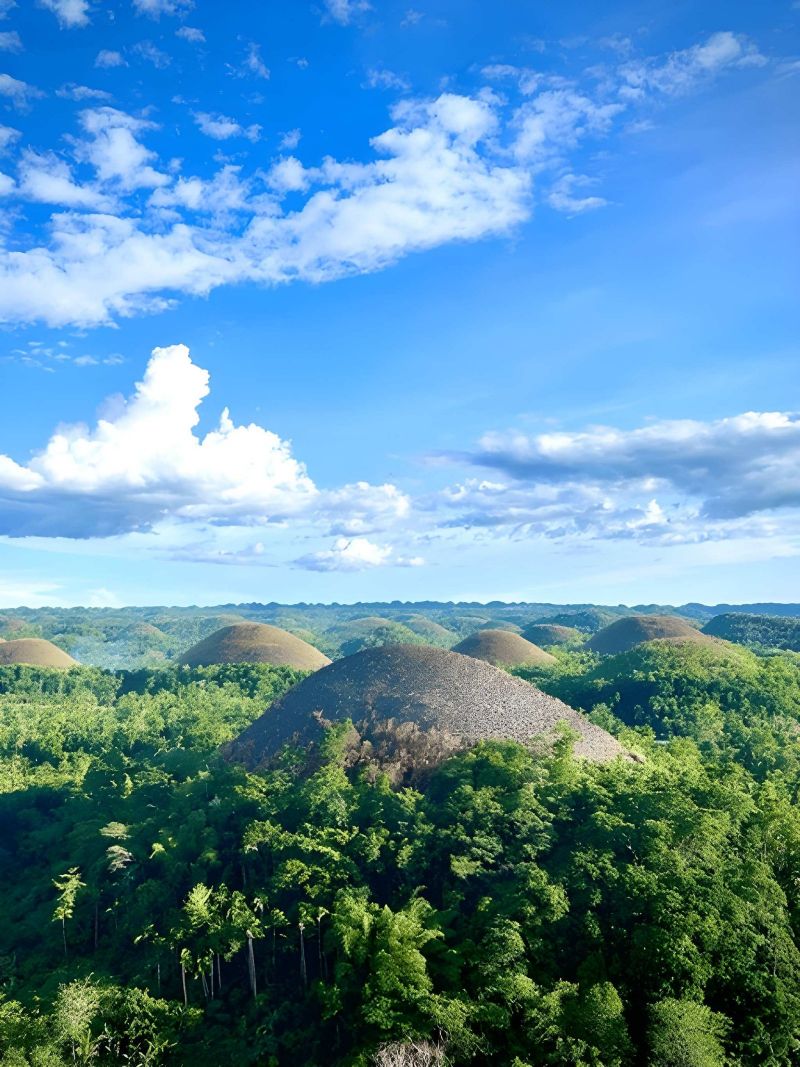 Bohol